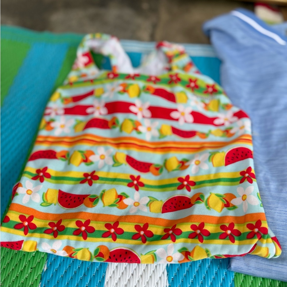 Speedo Colorful Striped Swimsuit with Fruit and Floral Design